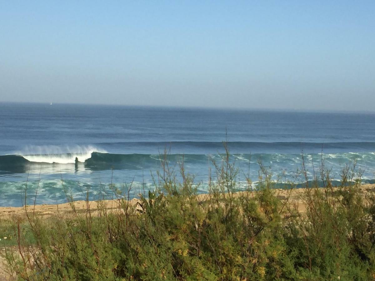 Oasis Backpackers Hostel Sintra Surf コラレス エクステリア 写真