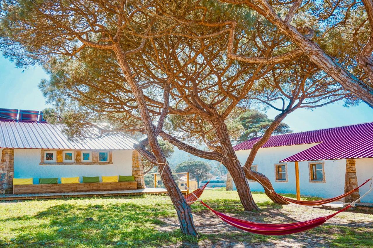 Oasis Backpackers Hostel Sintra Surf コラレス エクステリア 写真